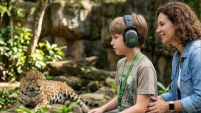 Na imagem menino com TEA utiliza fone abafador e cordão com girassóis caracterizando que possuo deficiência oculta. Observa uma onça pintada acompanhado da mãe e de outra criança. Fonte: IA