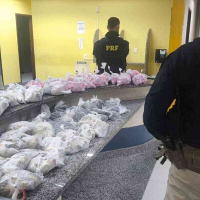 observa os mais de 6 mil pinos de cocaína após a apreensão em Teresópolis. Foto: Divulgação/PRF.