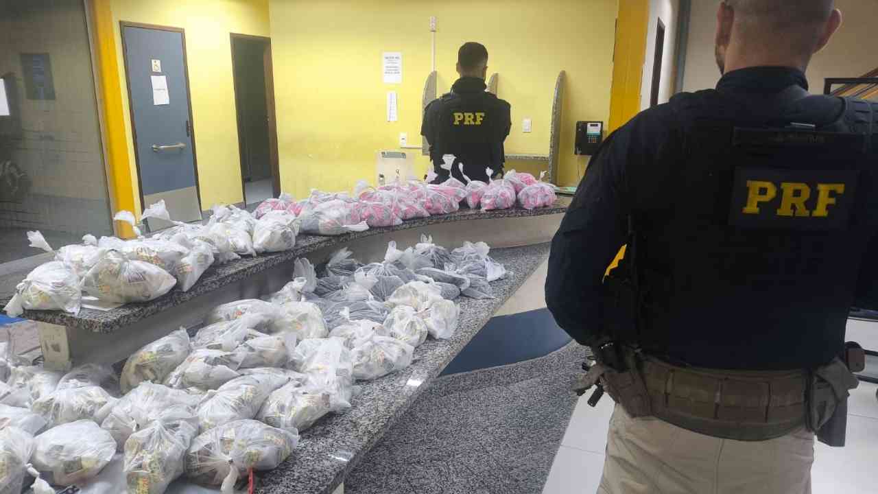 observa os mais de 6 mil pinos de cocaína após a apreensão em Teresópolis. Foto: Divulgação/PRF.