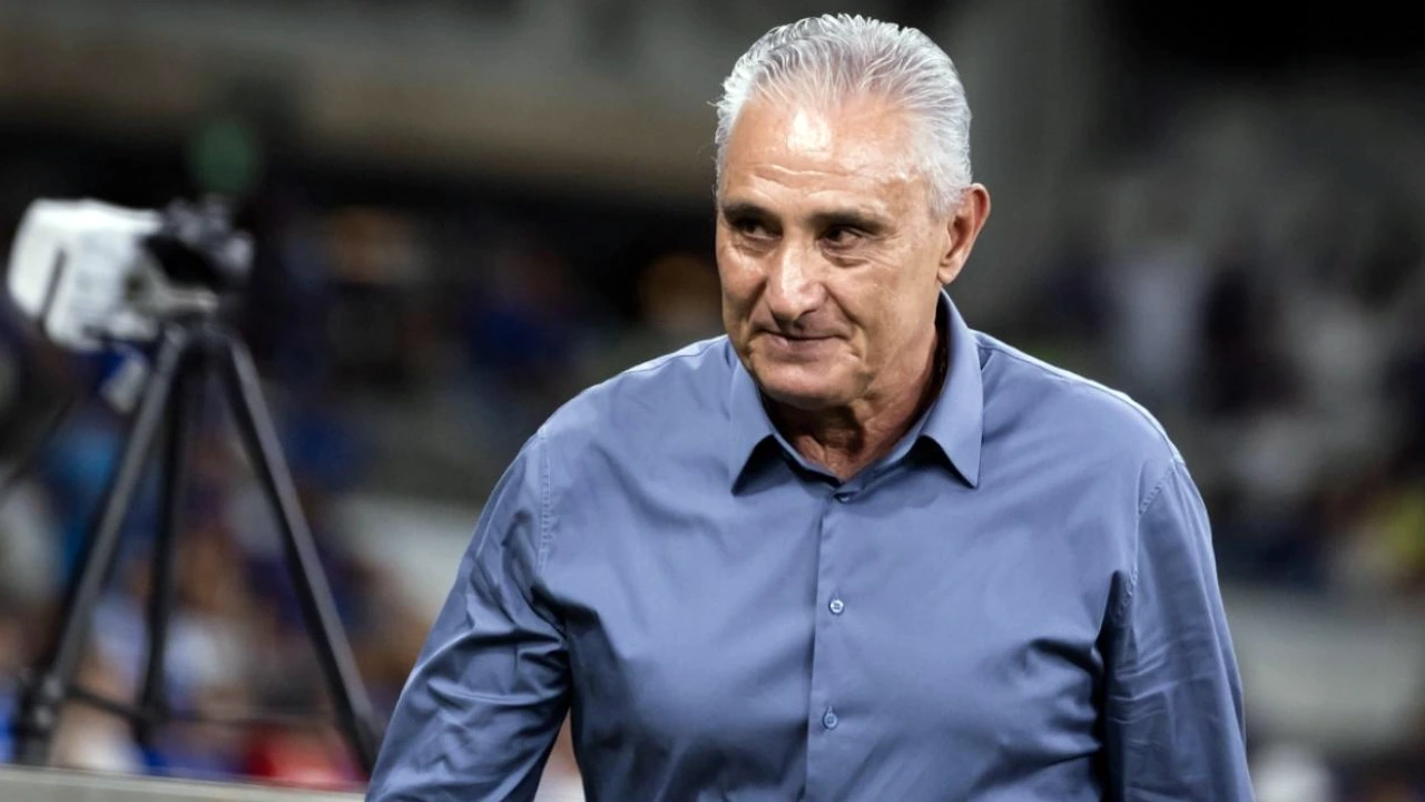 técnico Tite durante partida do Cruzeiro técnico Tite durante partida do Cruzeiro