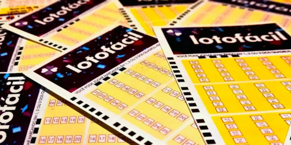 Concurso 3646 da Lotofácil, com resultado dos números sorteados nesta quinta-feira, 26/03, bem como os prêmios de todas as faixas de acerto | Folha do Leste