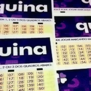 Concurso 6986 da Quina, com resultado dos números sorteados nesta quinta-feira, 26/03, bem como os prêmios de todas as faixas de acerto | Folha do Leste