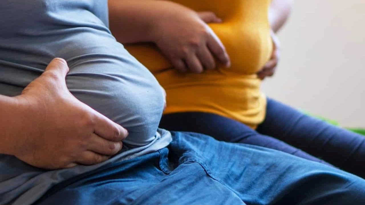 Obesidade inflamatória: terapias e riscos para outras doenças