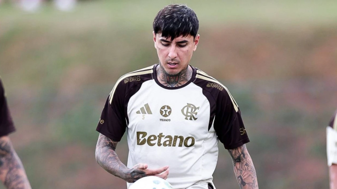 Erick Pulgar durante jogo do Flamengo antes de lesão no ombro