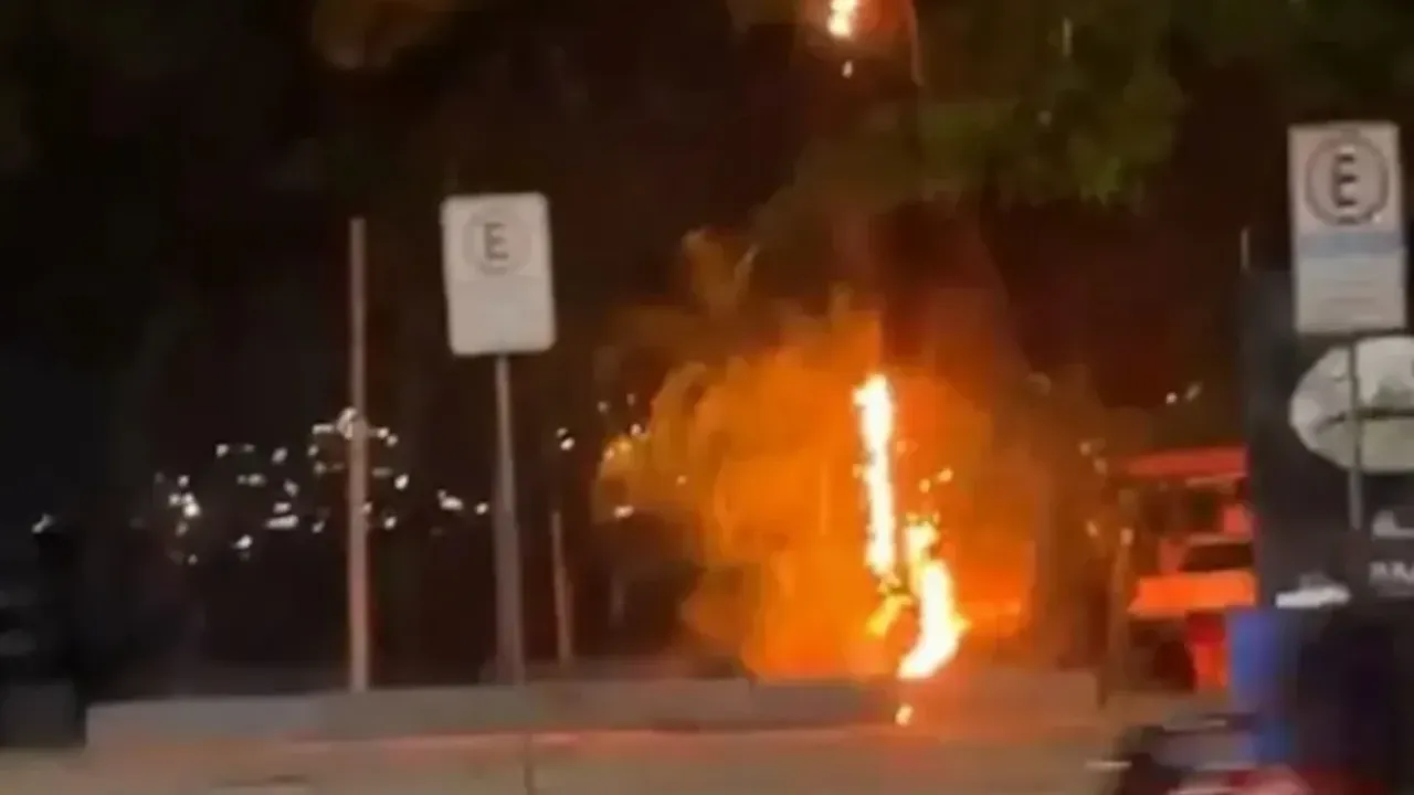 Fio energizado cai em Charitas e provoca incêndio em árvore