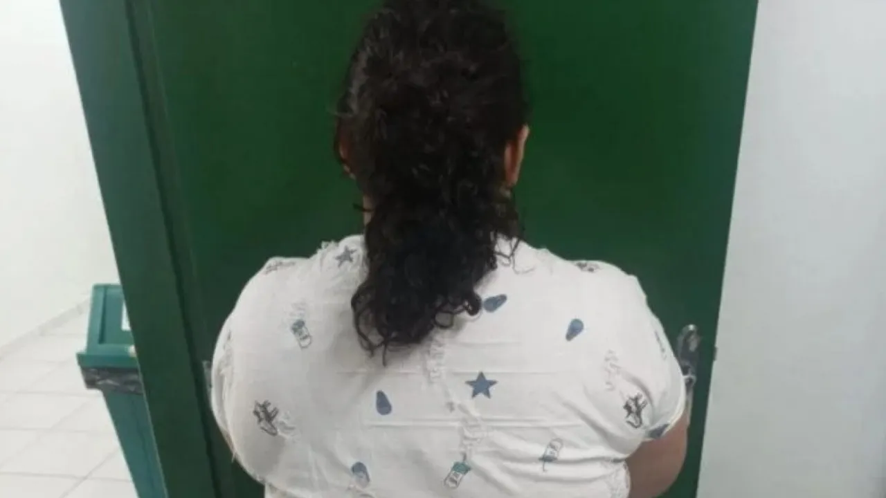 Mulher suspeita de se passar por criança durante investigação da Polícia Civil em Joinville
