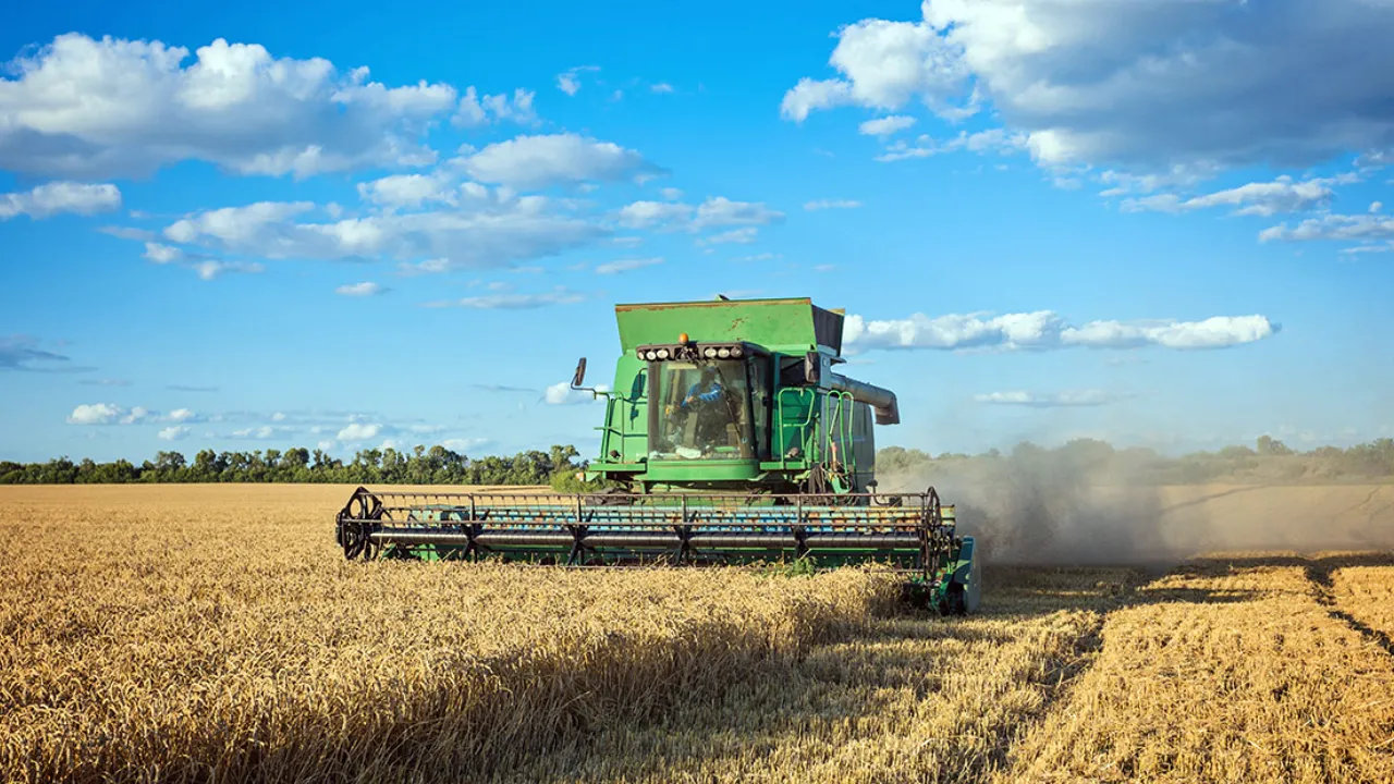 Produtor rural observa lavoura durante anúncio de recursos do Plano Safra 2026/2027