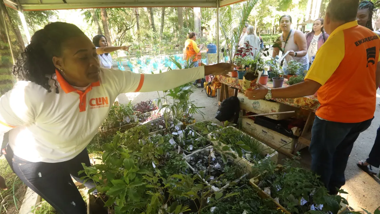 Moradores recebem mudas da Mata Atlântica durante a Semana do Meio Ambiente em Niterói, no Campo de São Bento