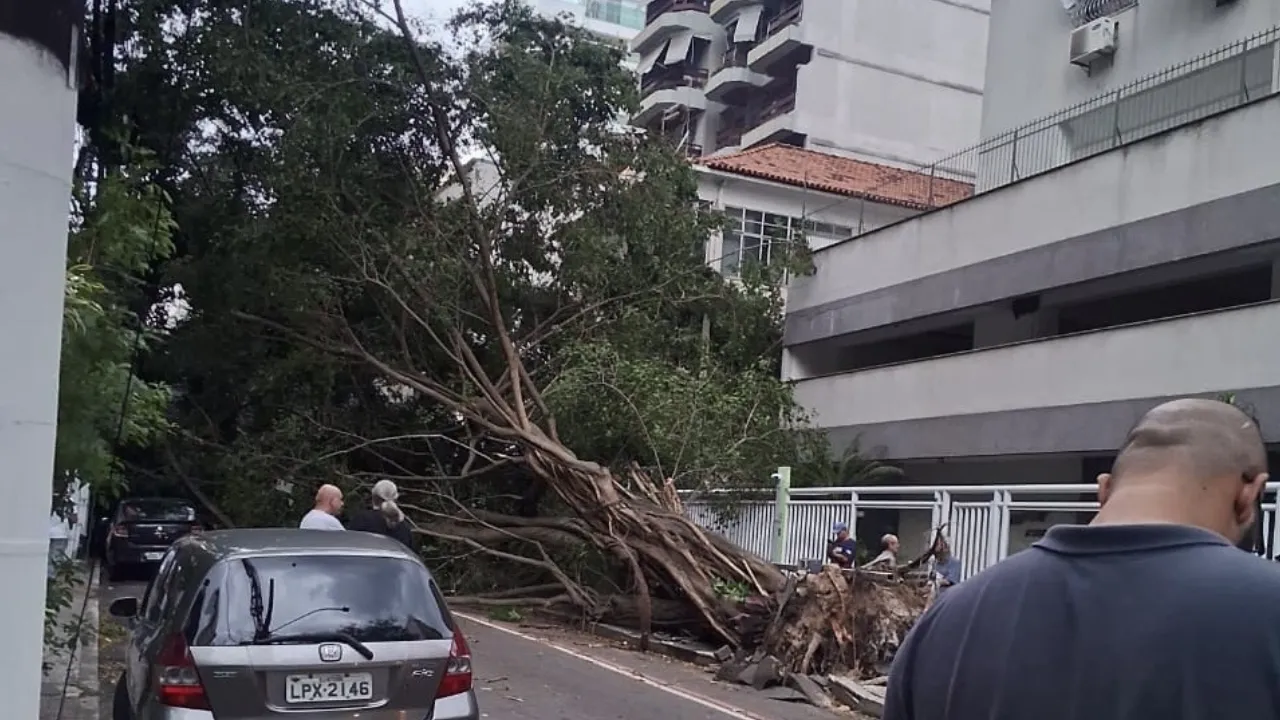 Árvore cai em Icaraí durante ventania na esquina das ruas Miguel Couto e Ministro Otávio Kelly Árvore cai em Icaraí durante ventania na esquina das ruas Miguel Couto e Ministro Otávio Kelly