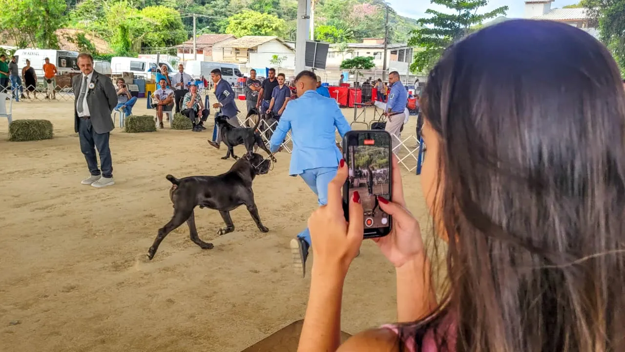 Cães de diferentes raças participam de exposição no Parque Rural de Niterói Cães de diferentes raças participam de exposição no Parque Rural de Niterói