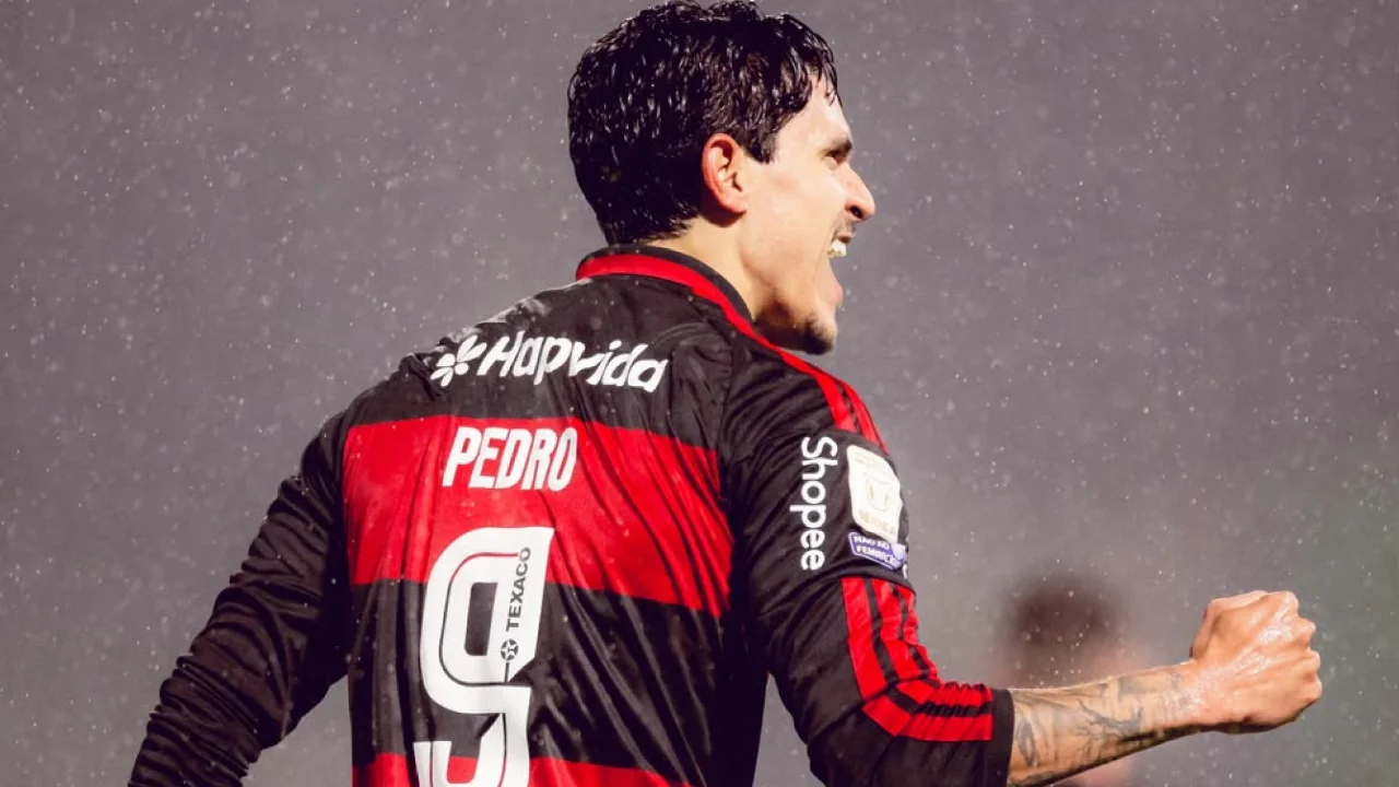 Pedro comemora um dos gols na vitória do Flamengo sobre a Chapecoense pelo Campeonato Brasileiro