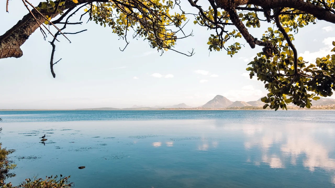 Equipes da Somar retiram vegetação acumulada nas margens da Lagoa de Araçatiba, em Maricá