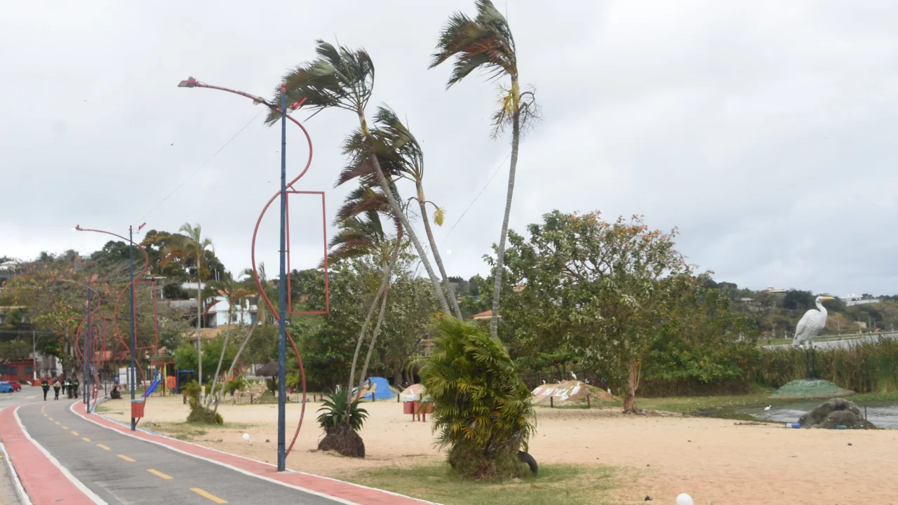 Previsão do tempo Maricá indica rajadas de vento de até 61 km/h entre quinta-feira e sábado. Previsão do tempo Maricá indica rajadas de vento de até 61 km/h entre quinta-feira e sábado.