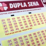 Concurso 2982 da Dupla Sena, com resultado dos números sorteados na segunda-feira, 13/07, bem como prêmios de todas as faixas de acerto. Soma do total de apostas realizadas, e análises econômicas, financeiras e lotéricas tanto sobre as ganhadoras quanto perdedoras, com base na arrecadação.