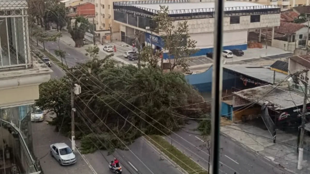 Ventania derruba árvore na Estrada Caetano Monteiro, no Badu, em Niterói
