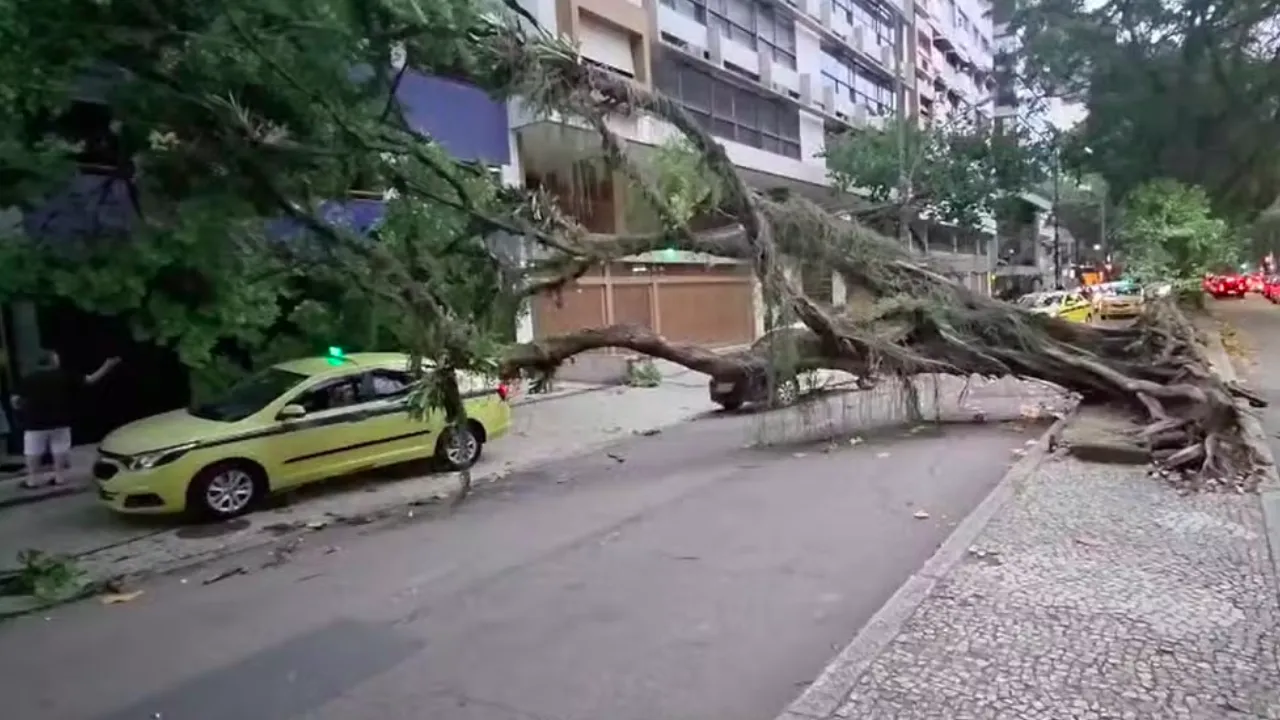 Árvore caída durante a forte ventania no Rio de Janeiro nesta quarta-feira Árvore caída durante a forte ventania no Rio de Janeiro nesta quarta-feira