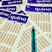 Volantes da Quina usados como ilustração da reportagem Concurso 7102 da Quina, com resultado dos números sorteados no quarta-feira, quarta-feira, bem como prêmios de todas as faixas de acerto. Soma do total de apostas realizadas, e análises econômicas, financeiras e lotéricas tanto sobre as ganhadoras quanto perdedoras, com base na arrecadação | imagem de Enzo Carvalho