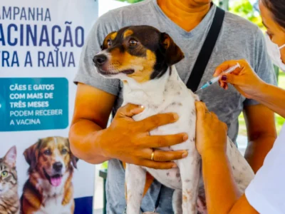 Começa neste sábado, 08/08, a campanha de vacinação contra a raiva em cães e gatos. Primordialmente, o atendimento se concentra nos bairros do Centro, zona Sul e parte da zona Norte. 
