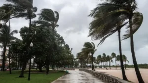 Imagem de uma orla da praia com diversas árvores sendo violentamente balançadas por ventos fortes