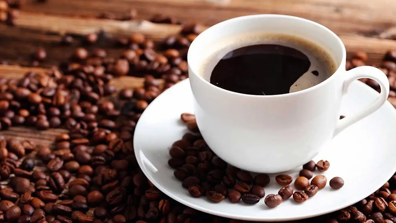 Festival do Café em Niterói com cafés especiais, torra ao vivo e programação gratuita no Plaza Shopping