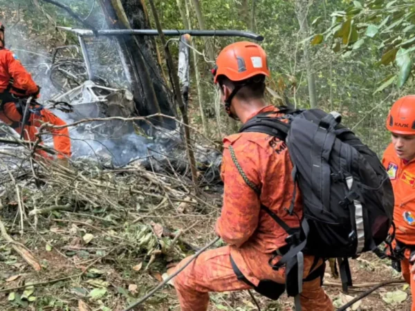 Acidente com helicóptero na região da Vista Chinesa, no Alto da Boa Vista, mobilizou cerca de 40 bombeiros e provocou incêndio em área de vegetação