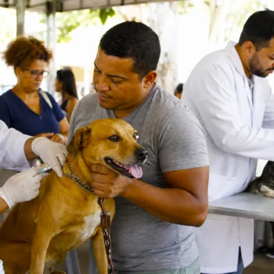 Imagem mostra cão e gato sendo vacinados contra a raiva: neste sábado, a cidade do Rio de Janeiro aplica vacina contra a raiva em cães e gatos neste sábado, 08/08: veja os locais onde você pode vacinar seu pet