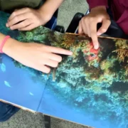Educadores e estudantes em atividade de leitura e educação ambiental em escola municipal de Itaboraí