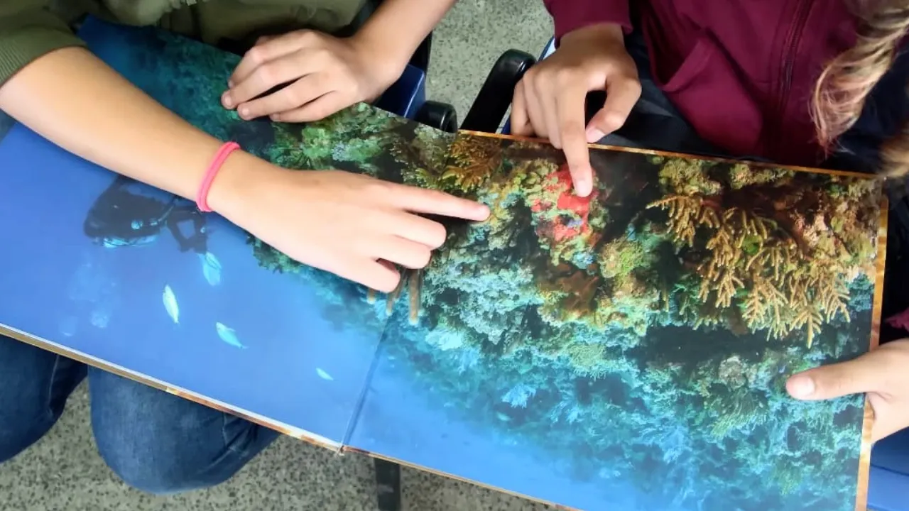 Educadores e estudantes em atividade de leitura e educação ambiental em escola municipal de Itaboraí Educadores e estudantes em atividade de leitura e educação ambiental em escola municipal de Itaboraí