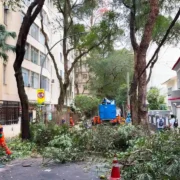 Equipes realizam limpeza e manutenção urbana na Rua Silveira Martins, no Catete