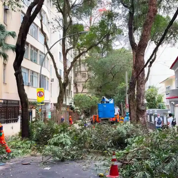 Equipes realizam limpeza e manutenção urbana na Rua Silveira Martins, no Catete