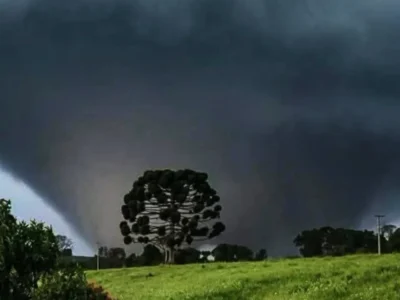Estragos provocados pelo tornado que atingiu Piraí do Sul, nos Campos Gerais do Paraná. O fenômeno afetou residências e derrubou árvores em comunidades rurais, enquanto Defesa Civil e Simepar trabalham no levantamento dos danos e na definição da intensidade