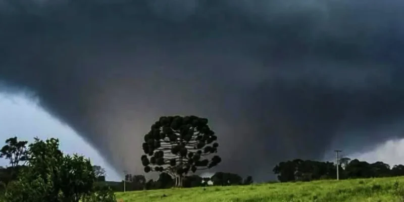 Estragos provocados pelo tornado que atingiu Piraí do Sul, nos Campos Gerais do Paraná. O fenômeno afetou residências e derrubou árvores em comunidades rurais, enquanto Defesa Civil e Simepar trabalham no levantamento dos danos e na definição da intensidade