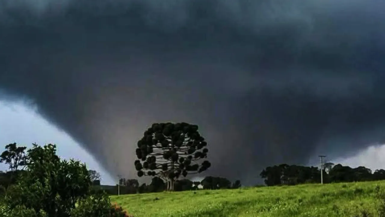 Estragos provocados pelo tornado que atingiu Piraí do Sul, nos Campos Gerais do Paraná. O fenômeno afetou residências e derrubou árvores em comunidades rurais, enquanto Defesa Civil e Simepar trabalham no levantamento dos danos e na definição da intensidade