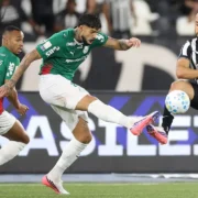 Barboza durante partida entre Botafogo e Palmeiras no Nilton Santos pelo Brasileirão