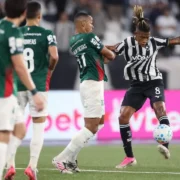 Jogadores de Botafogo e Palmeiras durante empate sem gols no Nilton Santos pelo Brasileirão