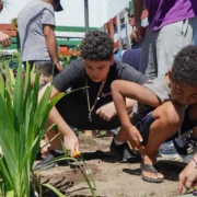 Usuários participam de atividade na horta do Centro de Referência Municipal em Autismo, no Gradim