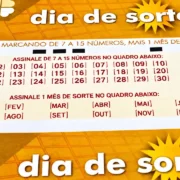 Concurso 1308 da Dia de Sorte, com resultado dos números sorteados no domingo, 27/09, bem como prêmios de todas as faixas de acerto, com análises econômicas, financeiras e lotéricas do somatório do total de apostas realizadas, com base na arrecadação da modalidade, dando a necessária transparência à destinação do dinheiro das apostas | Enzo Carvalho
