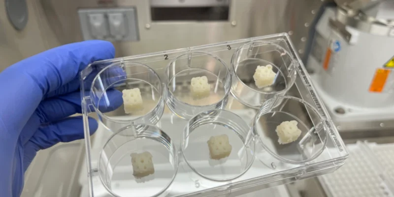 Scaffolds ósseos impressos em 3D em laboratório