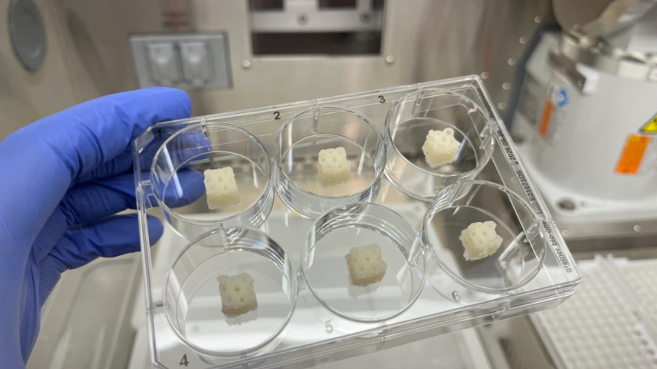 Scaffolds ósseos impressos em 3D em laboratório