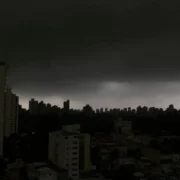Árvore caída após chuva forte em rua de São Paulo