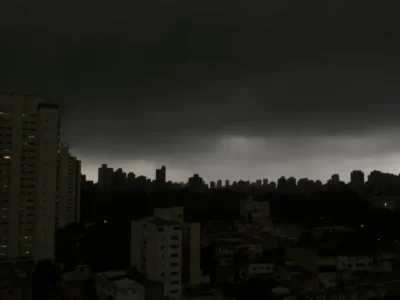 Árvore caída após chuva forte em rua de São Paulo