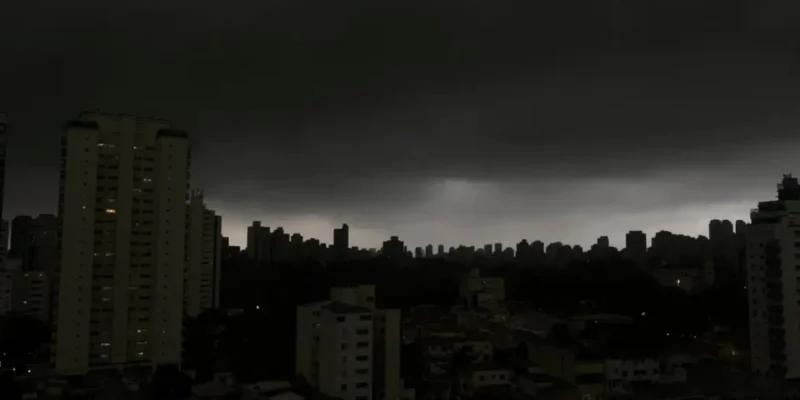 Árvore caída após chuva forte em rua de São Paulo