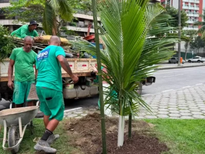 Equipe realiza plantio de árvore em São Conrado durante ação do programa Planta+Rio