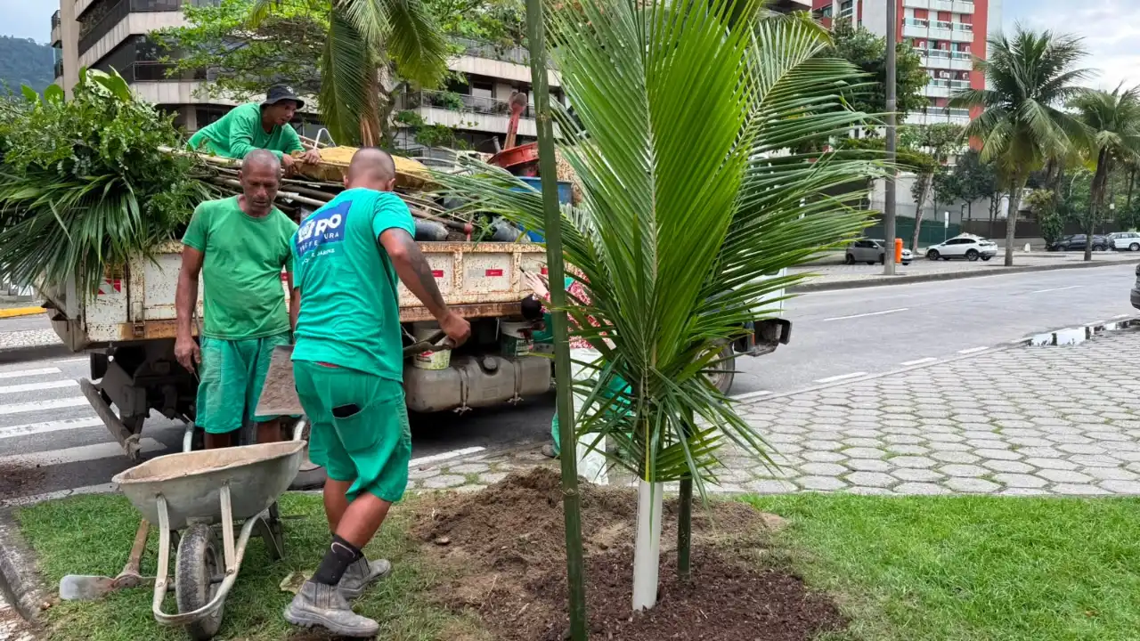 Equipe realiza plantio de árvore em São Conrado durante ação do programa Planta+Rio