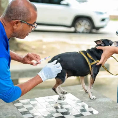 Cão recebe vacina contra a raiva durante campanha antirrábica em Itaboraí