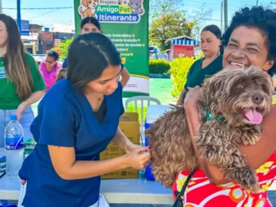 Cães e gatos recebem vacinação antirrábica em São João de Meriti