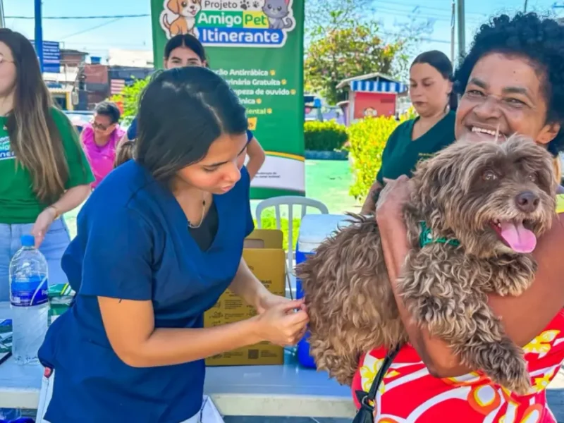 Cães e gatos recebem vacinação antirrábica em São João de Meriti