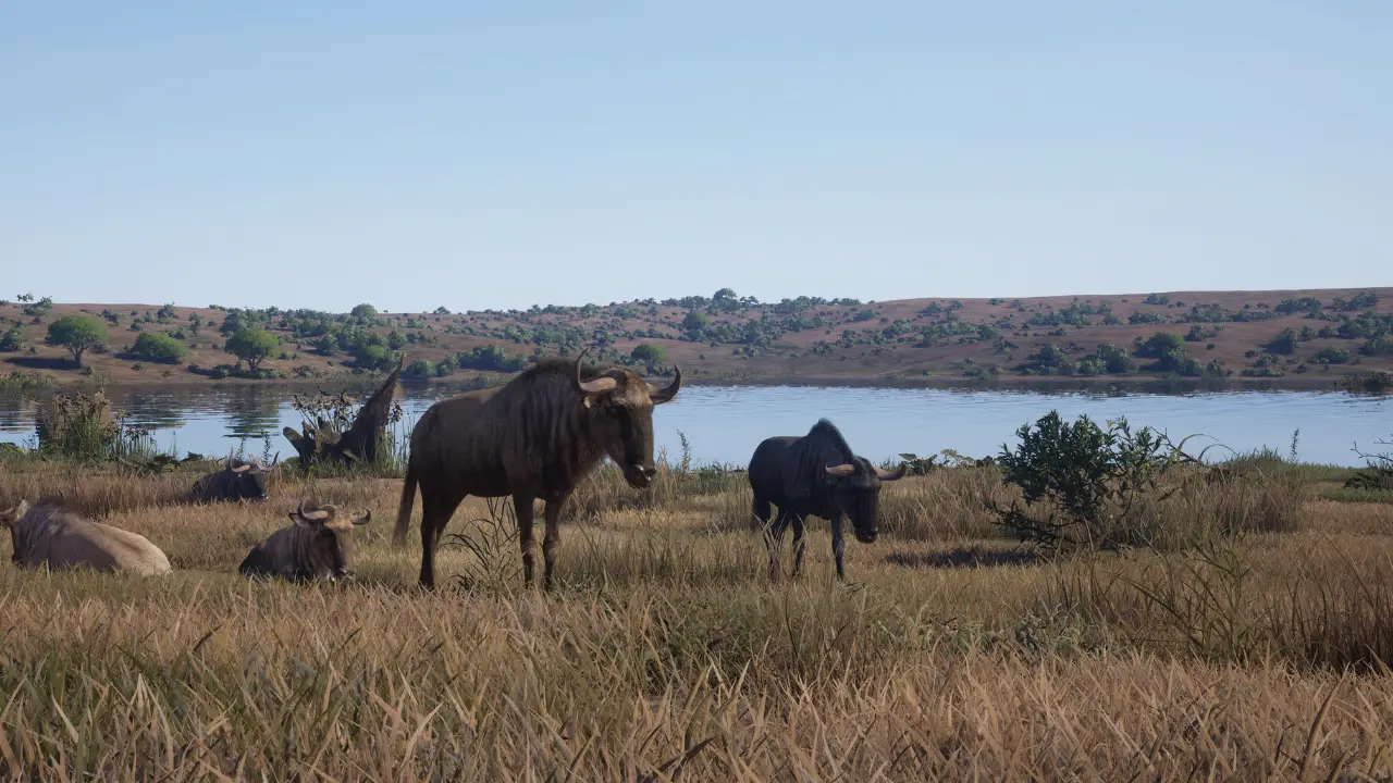 Gnus em área aberta de Way of the Hunter 2
