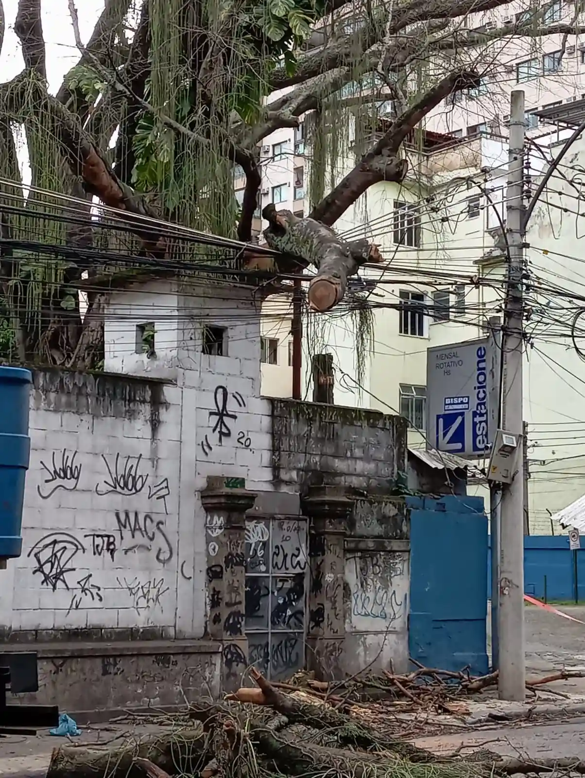 Tronco de árvore permanece sobre a fiação na Rua do Bispo, no Rio Comprido Tronco de árvore permanece sobre a fiação na Rua do Bispo, no Rio Comprido