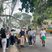 Árvore caída na Rua do Bispo, no Rio Comprido, após atingir motociclista